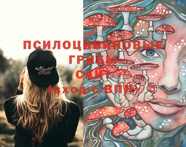 хмурый Бородино