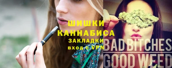 хмурый Бородино