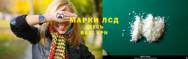 хмурый Бородино