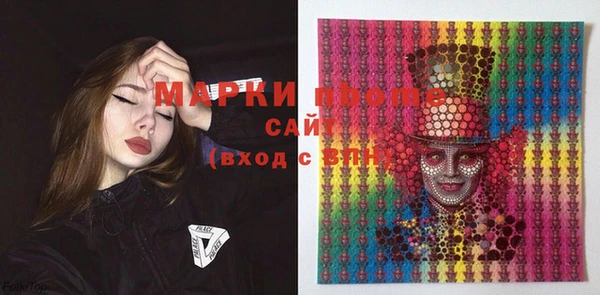 хмурый Бородино