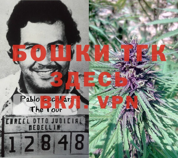хмурый Бородино