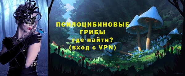 хмурый Бородино