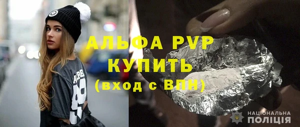 хмурый Бородино
